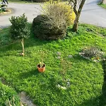 شقة Ferienwohnung Graefendhron
