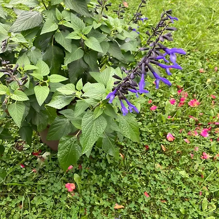 Ferienwohnung Graefendhron