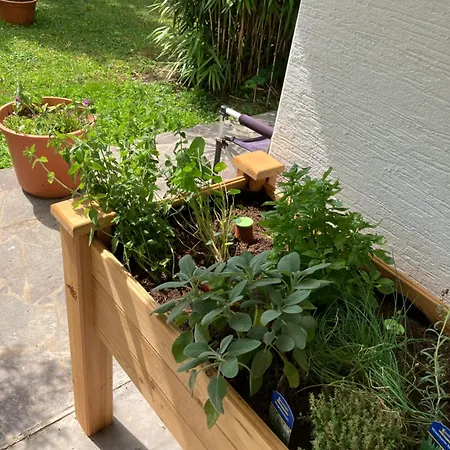 Ferienwohnung Graefendhron Lägenhet Grafendhron