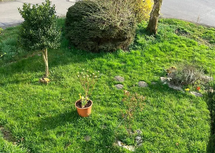 Apartment Ferienwohnung Graefendhron