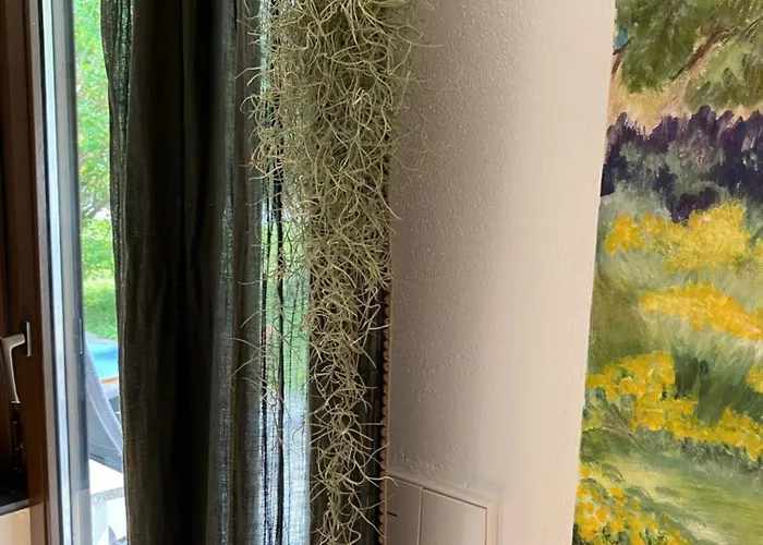 Apartment Ferienwohnung Graefendhron