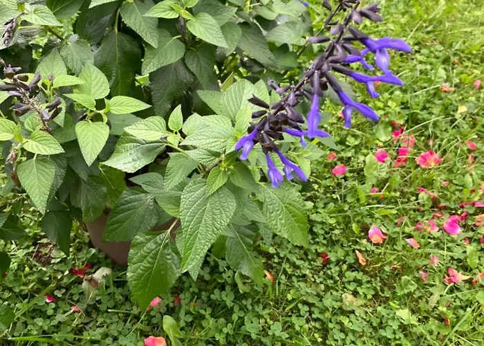 Ferienwohnung Graefendhron