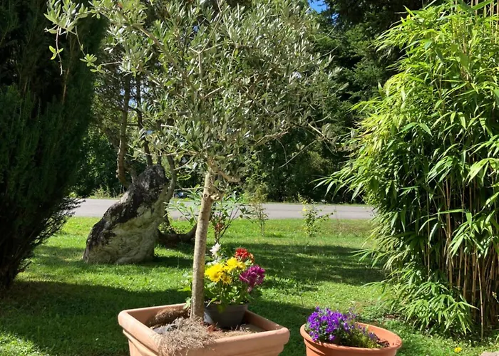 Ferienwohnung Graefendhron *