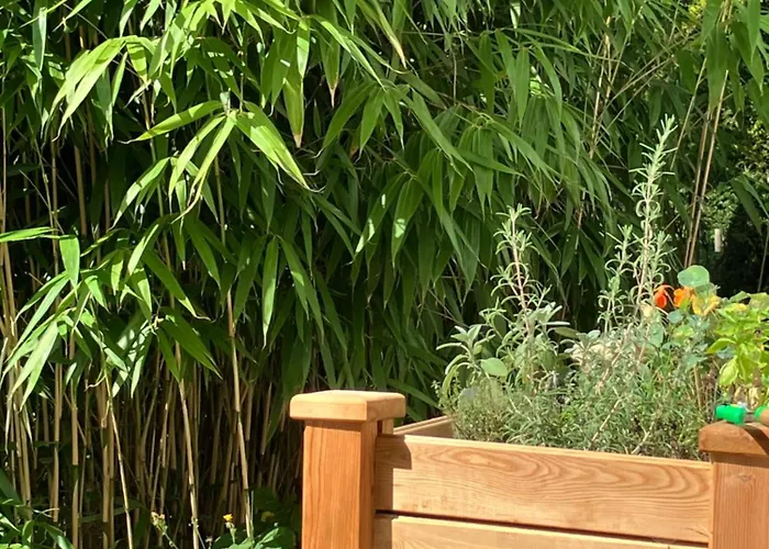 Ferienwohnung Graefendhron Grafendhron